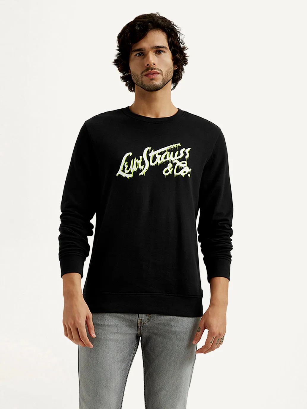 Alpaca like Road Trip Men's Printed Round Neck Sweatshirt