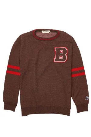 Ventilated Panels Sustainable Manufacturing BROWN UNISEX KNIT CREW