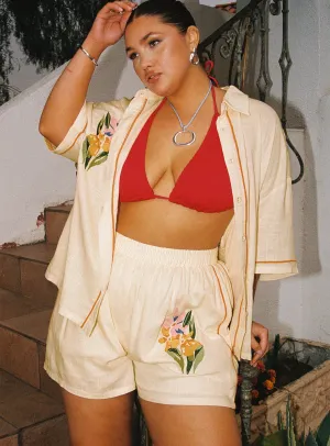 Ventilated Back Panels Fiorellie Shorts Cream Curve