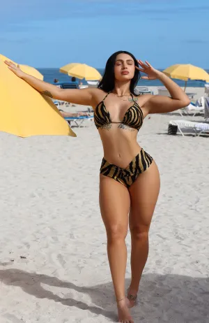 Golden Zebra Two Piece Swimwear Holiday Retreat