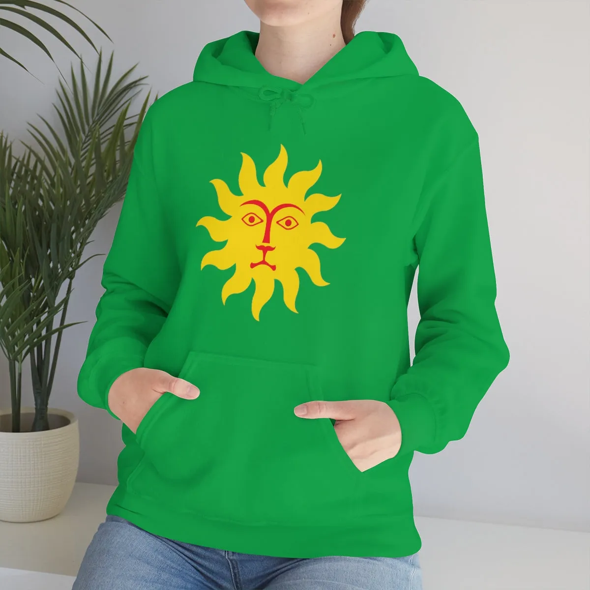 meeting look Ladies  Hooded Sweatshirt