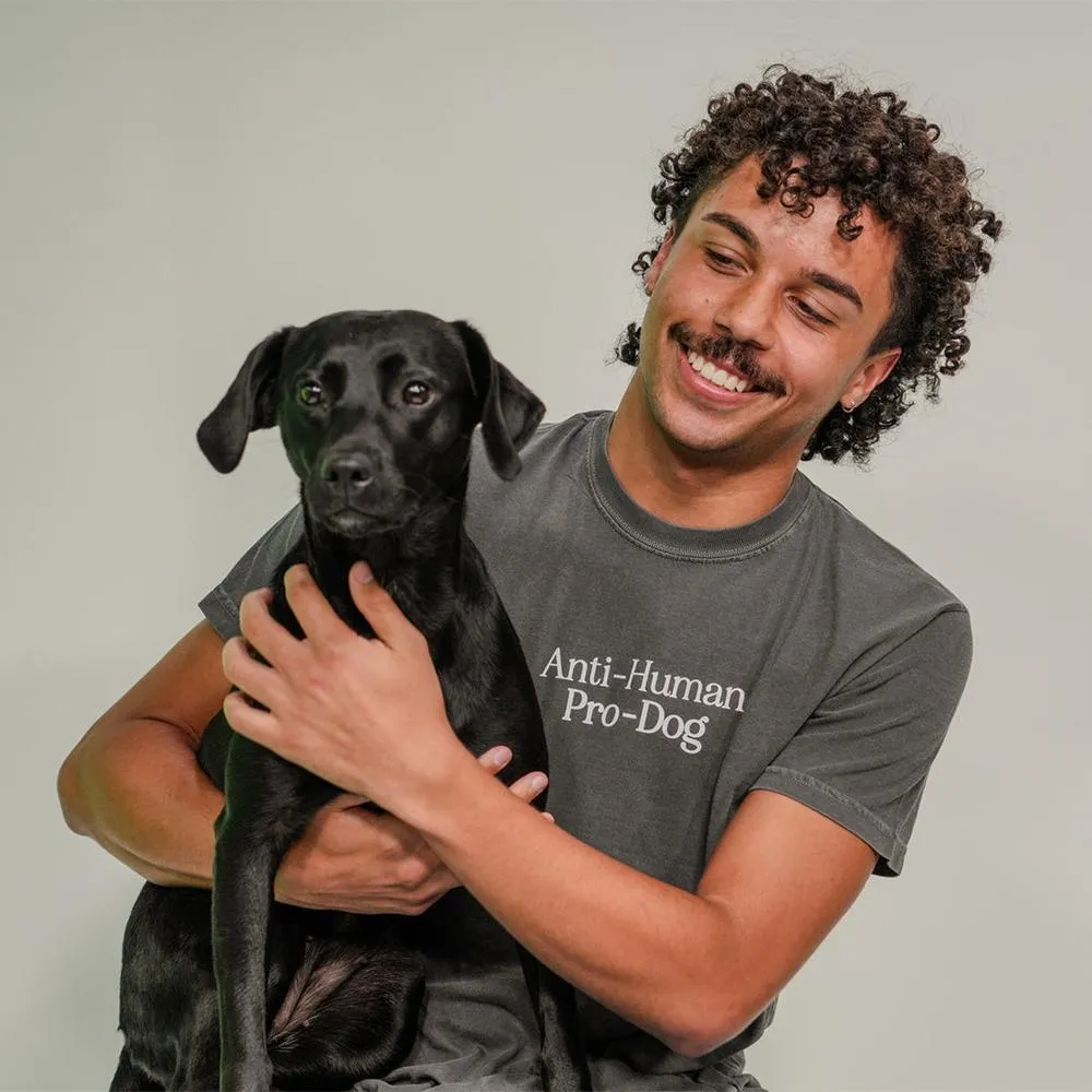 Pro Dog Tee Complementary Colors men's clothing