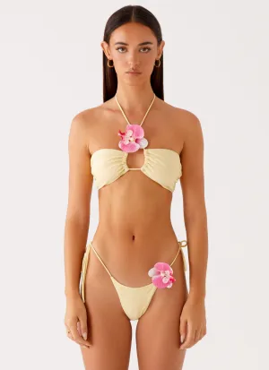 Built In Cups Fair trade Carmira Bikini Bottoms - Yellow